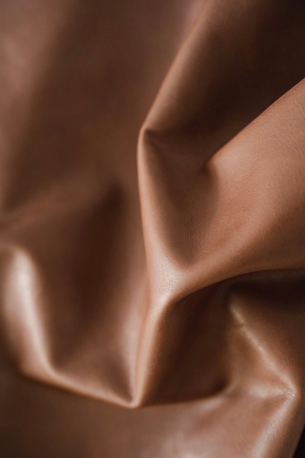 Textural swatch of Ella Jackson tan leather